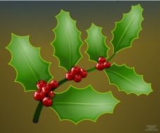 berries on a branch with green leaves