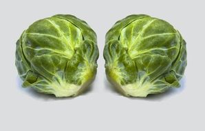 green cabbage for diet food