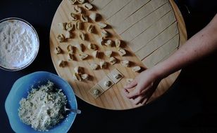 modeling of dumplings