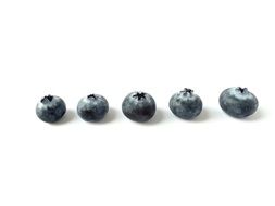 five blueberries on white background