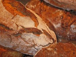 loafs of farmer's bread close up