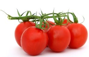 clurch of fresh tomatoes