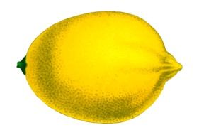 painted lemon