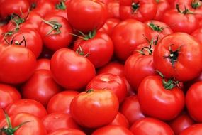 Tomato Fresh Sweet Juicy, market, krakow, poland