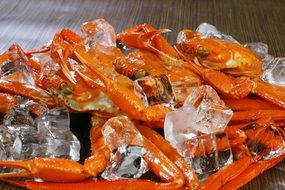 Ice snow Crab
