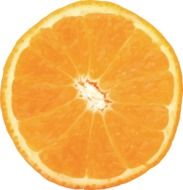Orange vector