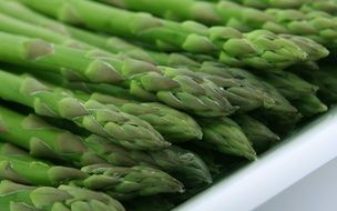 fresh green asparagus close up