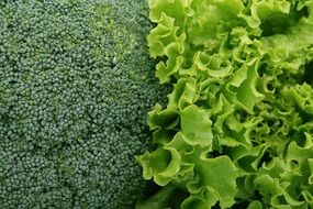 Fresh Appetite Broccoli salad
