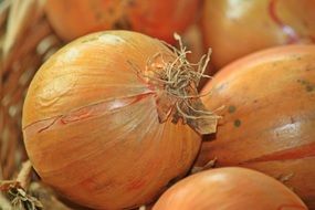 Golden Onions as a healthy Vegetables