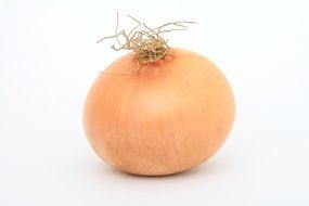 Organic onions on a white surface