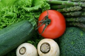 tomato, lettuce, radish, herbs and zucchini in the kitcheni close-up