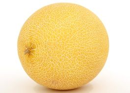 isolated yellow melon