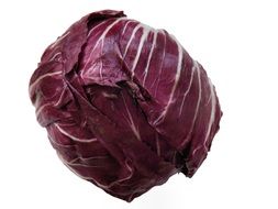 radicchio salad