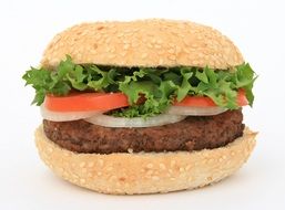 isolated nutritious hamburger