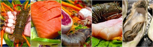 collage of different seafood