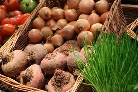 basket with onion and beet