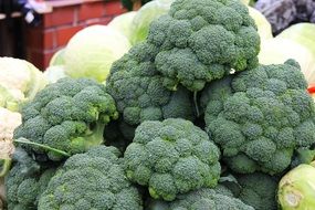 Fresh Broccoli heads on vegetable market close-up
