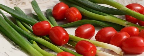 green spring onion and tomatoes