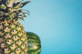 Fresh Fruits, Pineapple and watermelon