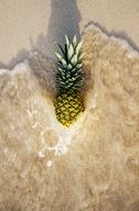 Pineapple Ocean