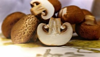 Closeup picture of brown Mushrooms