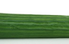 green fresh herb