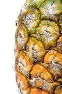 pineapple peel structure