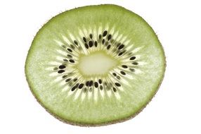 Slice of kiwi