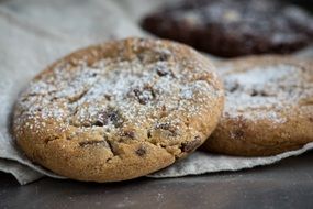 hazelnut cookies in powdered sugar close-up
