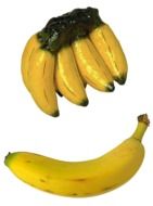 bananas on white as an illustration