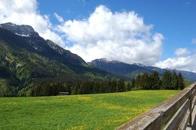 picturesque landscape, blooming meadow in front of mountains, Austria