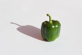 green pepper on white background