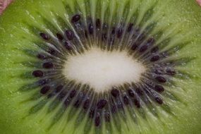 middle of a kiwi close-up