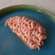 Fjord Shrimp