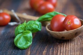 small tomatoes and basil