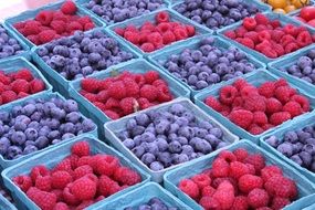 Fresh healthy berries