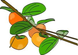painted branch with persimmon