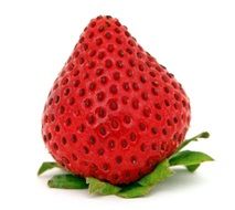 strawberry on the white background as a work of art