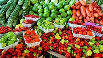 Vegetables in a Farmers Market