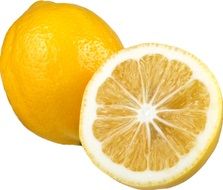 Lemon Sliced as a drawing