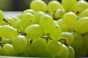 delicious green Grapes Fruits