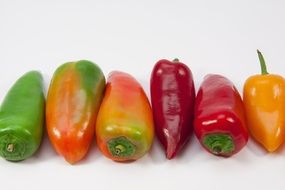 colorful healthy peppers