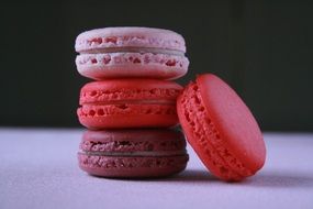 dainty Pink Macaroons