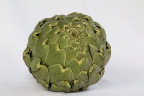 green Artichoke close up at white background