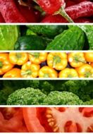 Vegetables collage photo