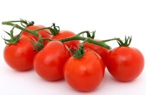 clipartr of isolated cluster of red tomatoes