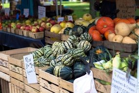 farmers market of organic vegetable and fruits