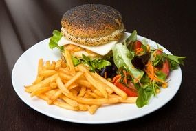 plate of unhealthy burger with french fries