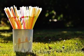 cocktail tubes in a glass on the lawn