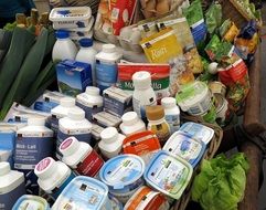 Milk and Yogurt Food